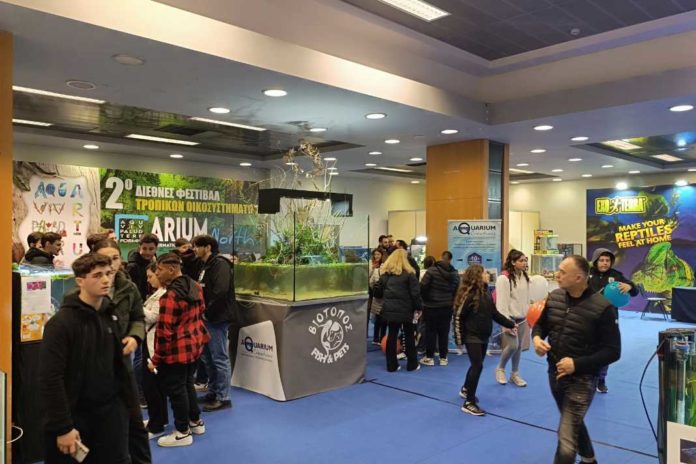 Arium Festival North