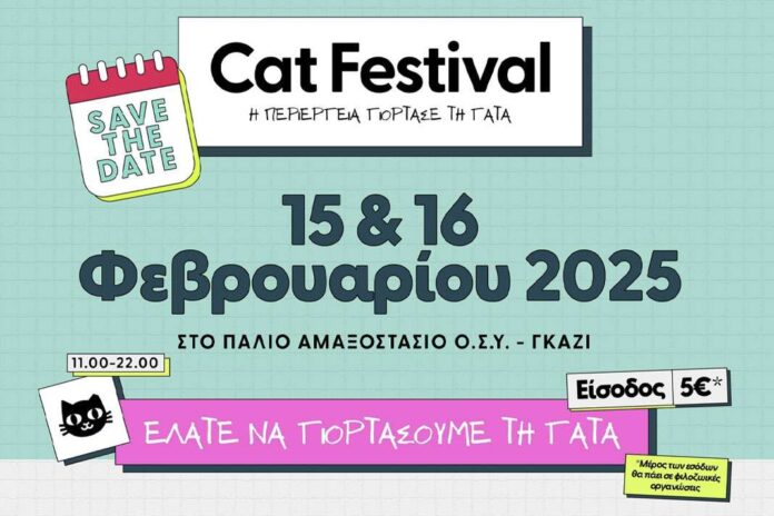 Cat Festival
