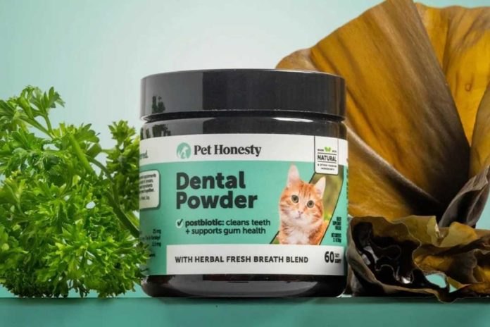 Dental powder