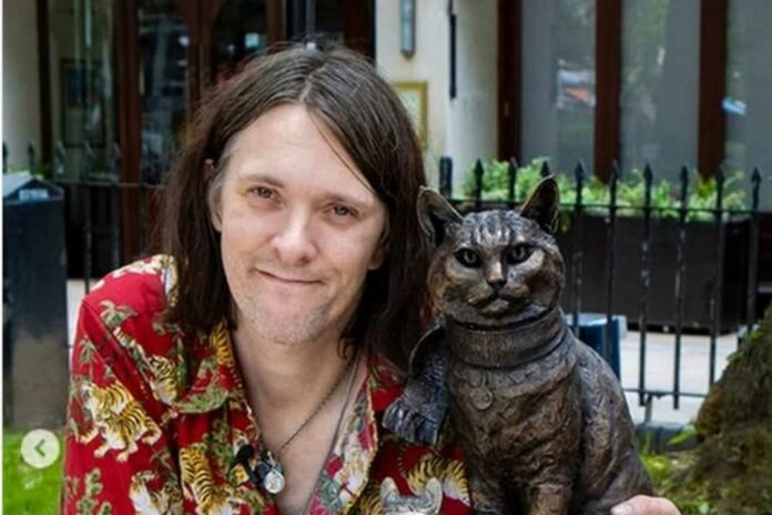 Street cat bob