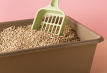 Άμμοι για γάτες με την προσθήκη αιθέριων ελαίων Άμμοι για γάτες