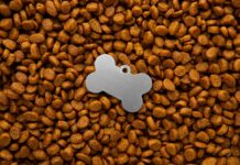 Βιώσιμη παραγωγή τροφών για κατοικίδια με AI Βιώσιμη παραγωγή τροφών για κατοικίδια