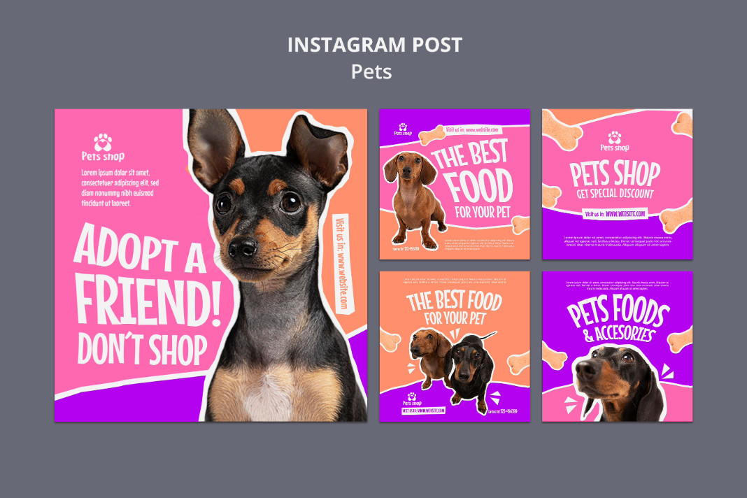 Instagram για pet shops