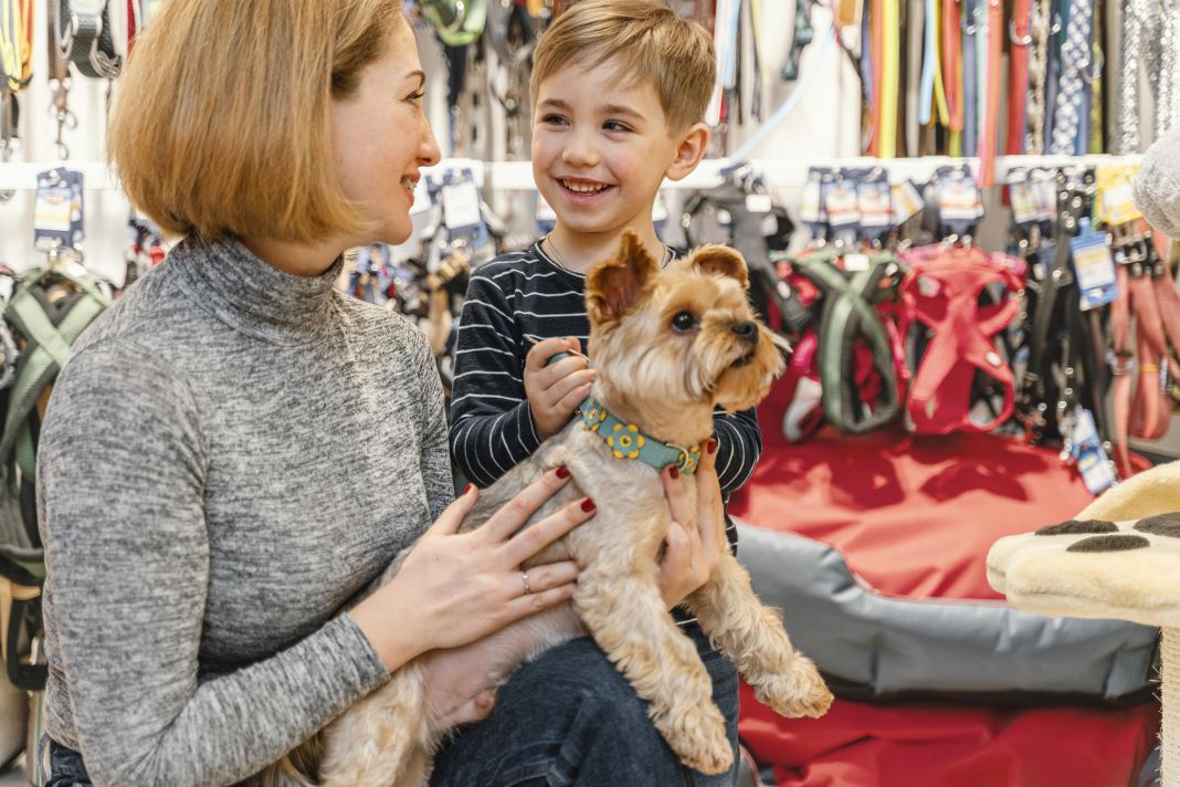 PetshopMarket-trofes-gia-katoikidia-nees-taseis-kai-anagkes-1 Τροφές για κατοικίδια