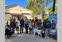 2η Ημέρα Υιοθεσίας αδέσποτων σε Βάρη Βούλα Βουλιαγμένη Ημέρα υιοθεσίας αδέσποτων