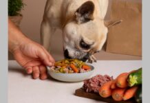 Φυσικές τροφές για κατοικίδια: Η αγορά έως το 2033 Φυσικές τροφές για κατοικίδια