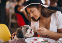 Pet friendly εστιατόρια: Η νέα παγκόσμια τάση Pet friendly εστιατόρια