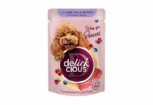 Delickcious λωρίδες για σκύλους σε κρεμώδη σάλτσα Delickcious για σκύλους