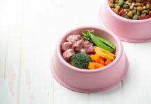 Φρέσκες τροφές: Άνοδος στη διατροφή κατοικίδιων Φρέσκες τροφές