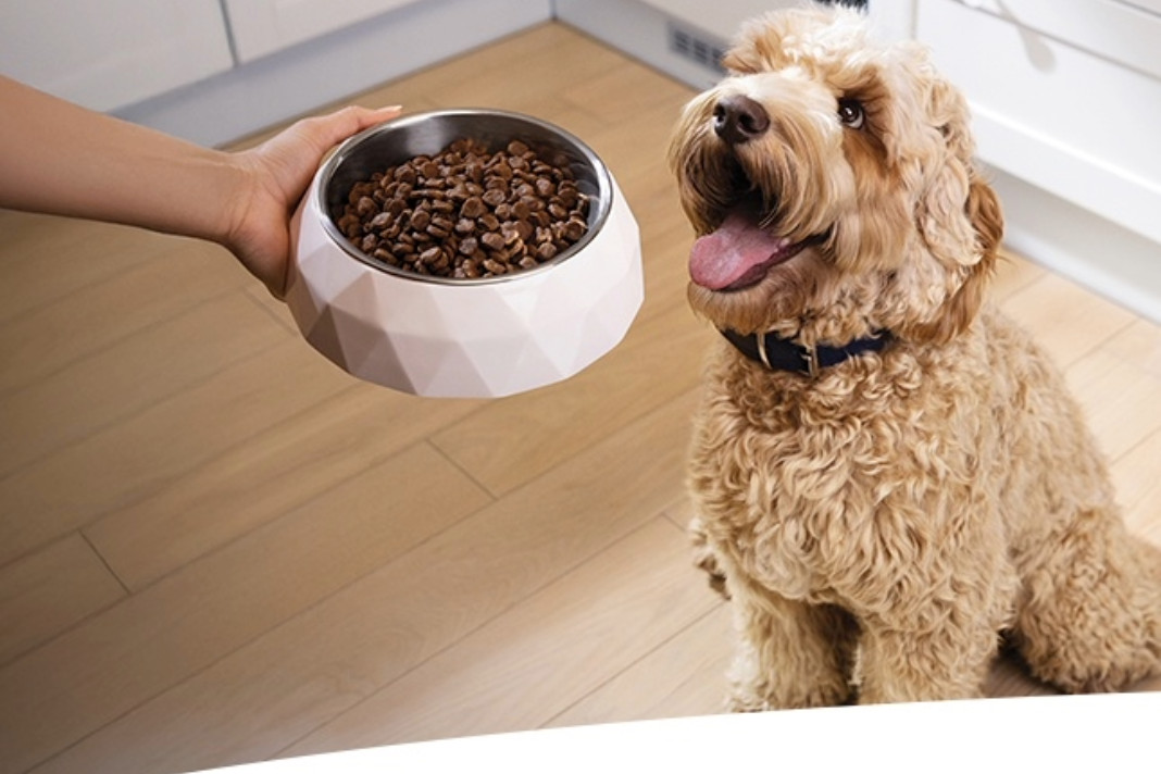 PetshopMarket-i-hills-anavathmizei-ti-seira-science-plan-1 Hill’s