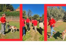 Η Purina δίπλα στα αδέσποτα της Dog’s Voice Purina