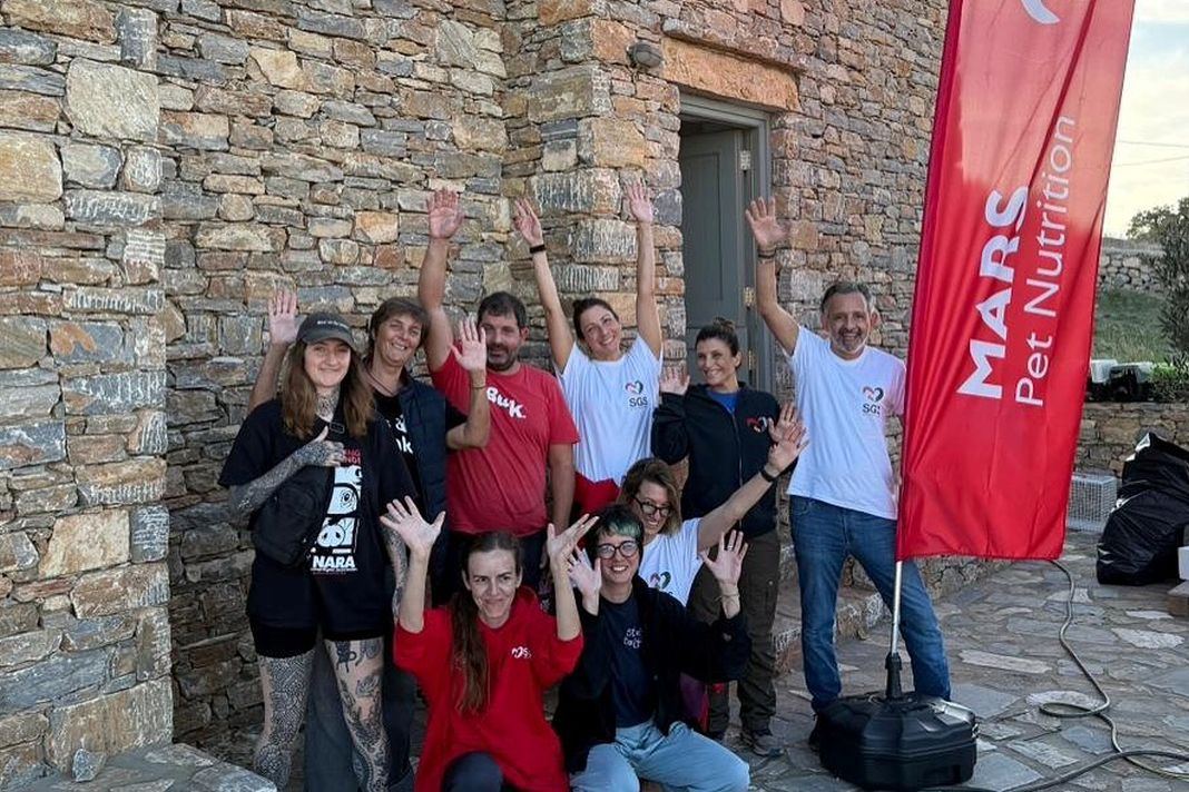 PetshopMarket-save-a-greek-stray-drasi-stis-mikres-kyklades-1 Save a Greek Stray δράση