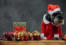 Τα προϊόντα που ενισχύουν τις πωλήσεις των γιορτών Πωλήσεις γιορτών