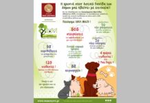 Δήμος Νέας Σμύρνης: Δράσεις για τα αδέσποτα Δήμος Νέας Σμύρνης αδέσποτα