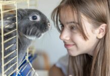 Η Γενιά Z καθοδηγεί την αγορά πουλιών και μικρών ζώων Αγορά πουλιών και μικρών ζώων