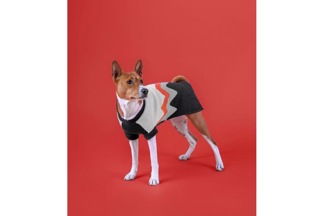 PetshopMarket-poulover-lima-kai-cheimerina-roucha-skylon-amiplay-1 Πουλόβερ Lima Amiplay