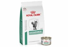 Royal Canin: Διαβητική τροφή γάτας στη VMX 2026 Royal Canin