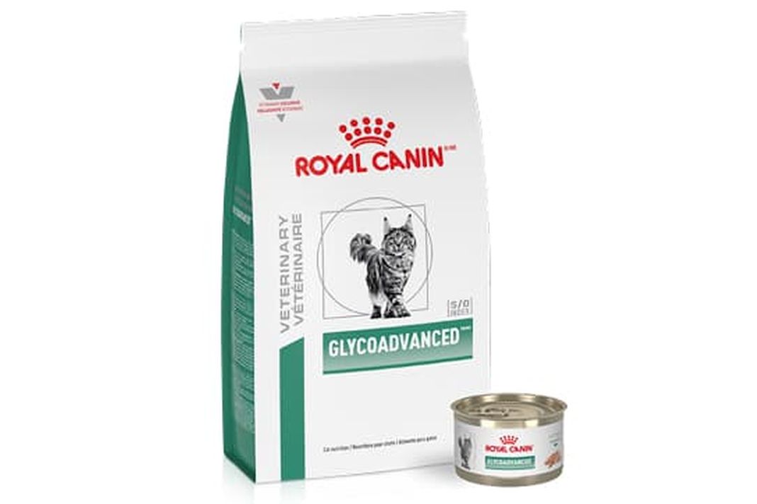 PetshopMarket-royal-canin-diavitiki-trofi-gatas-sti-vmx-2026-1 Royal Canin