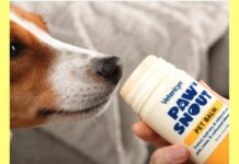 Vetericyn paw ‘n snout pet balm για μύτη και πατούσες Βalm για μύτη και πατούσες