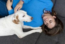 Άδεια φροντίδας κατοικίδιου: Νέα εργασιακή πρακτική Άδεια φροντίδας κατοικίδιου