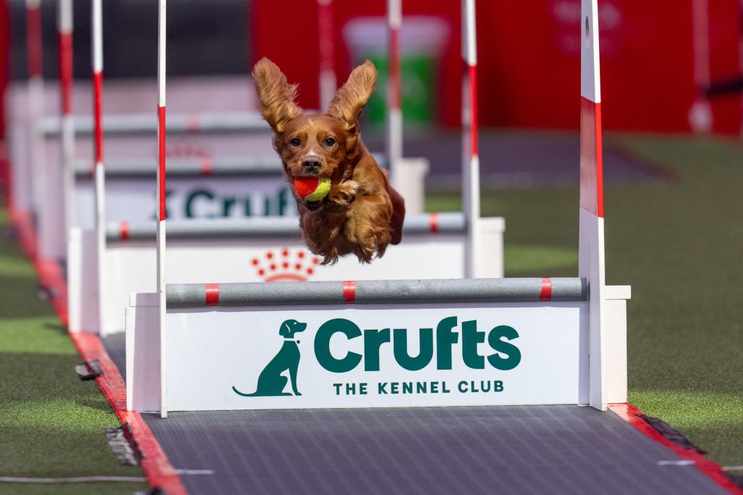 PetshopMarket-crufts-2026-i-megalyteri-ekthesi-skylon-ston-kosmo-1 Crufts