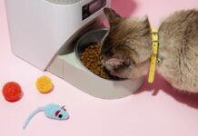 Gadgets για κατοικίδια: Τι προτιμούν οι Ευρωπαίοι Gadgets για κατοικίδια