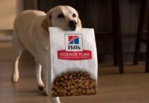 Hill’s Pet Nutrition: Ανάπτυξη με AI και μάρκετινγκ Hill’s Pet Nutrition