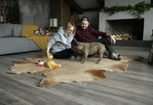 Νέο κοινό στην αγορά κατοικίδιων με υψηλό εισόδημα Αγορά κατοικίδιων