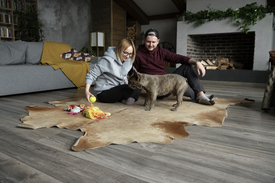 PetshopMarket-neo-koino-stin-agora-katoikidion-me-ypsilo-eisodima-1 Αγορά κατοικίδιων