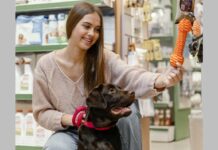 Οδηγός επιτυχίας για μικρά pet shops το 2026 Pet shops