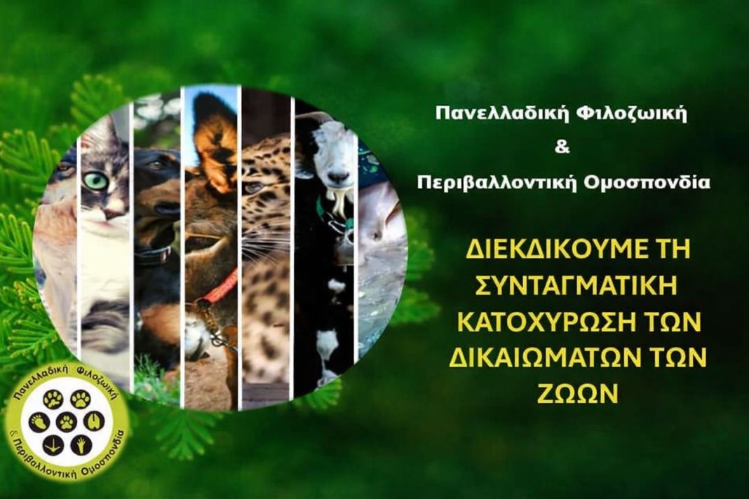 PetshopMarket-pfpo-stirizei-ti-syntagmatiki-prostasia-ton-zoon-1 ΠΦΠΟ Συνταγματική προστασία ζώων