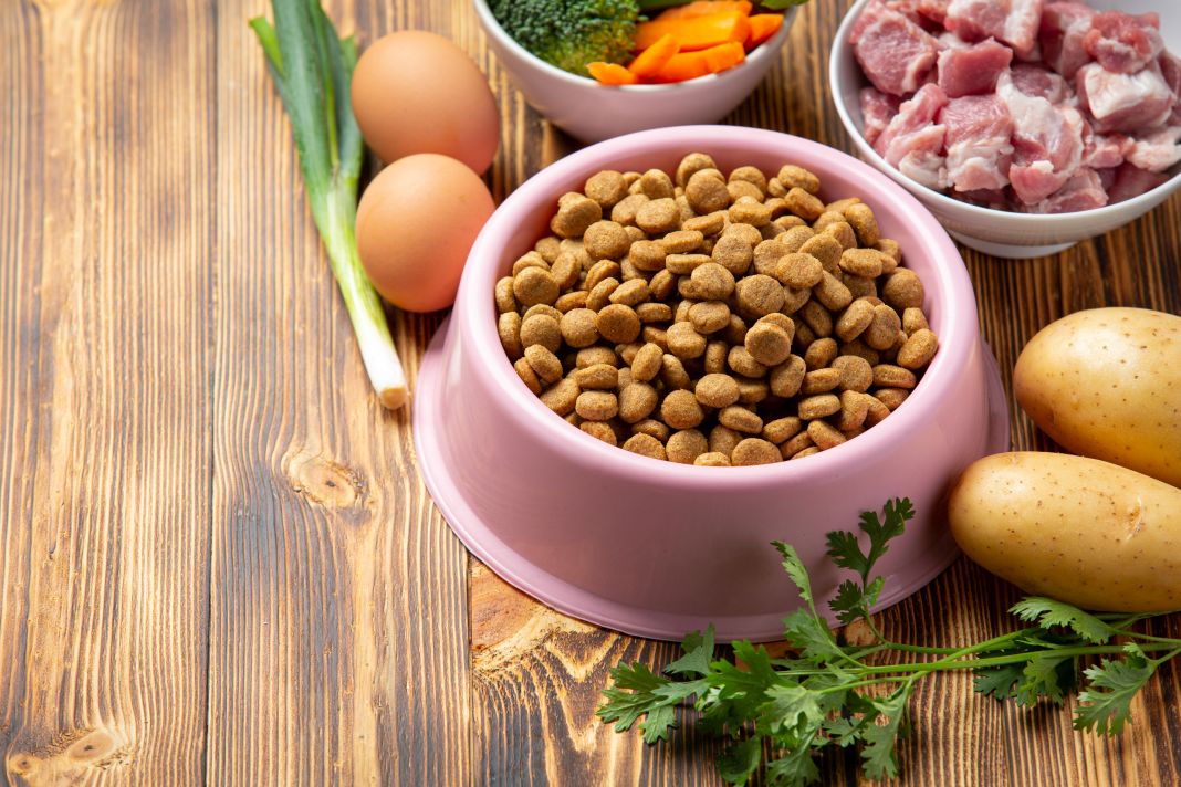 Healthy fresh pet food ingredients on dark background Λειτουργικά συστατικά τροφές κατοικίδιων