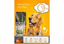 Viozois Monoprotein Fish: Ξηρή τροφή για σκύλους Monoprotein Fish