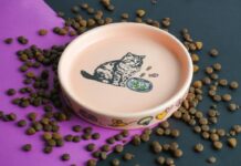 Αντίθετες τάσεις στις τιμές προϊόντων κατοικίδιων Τιμές προϊόντων κατοικίδιων