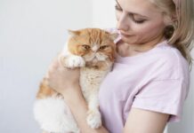 Διαθήκη για ζώα: Νομική προστασία και φροντίδα Διαθήκη για ζώα