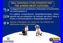 ΕΓΠΖΣ: Παράταση επιχορήγησης δήμων για τα αδέσποτα Επιχορήγηση δήμων αδέσποτα