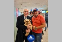 Επαναπατρισμός 101 Ελλήνων με τα κατοικίδιά τους Eπαναπατρισμός Ελλήνων κατοικίδια