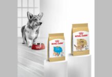 Η Royal Canin λανσάρει τροφή για σκύλους Κόργκι Royal Canin