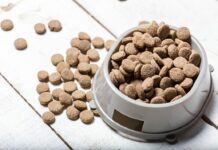 Κολλαγόνο: Η σημασία του στις τροφές κατοικίδιων Κολλαγόνο τροφές κατοικίδιων