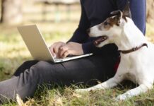 Μεταφορά του ΕΜΖΣ στο Υπουργείο Εσωτερικών ΕΜΖΣ