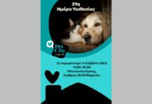 Pet City: 21η Ημέρα Υιοθεσίας αδέσποτων στο Μαρούσι Pet City Ημέρα Υιοθεσίας
