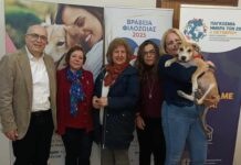 Συνάντηση ΠΦΠΟ με τον Ειδικό Γραμματέα της ΕΓΠΖΣ ΠΦΠΟ