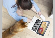 Τροφές για σκύλους: Τάσεις και online συζητήσεις Τροφές για σκύλους