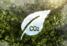 Βιωσιμότητα εταιρειών για κατοικίδια: Νέα στοιχεία Βιωσιμότητα εταιρειών κατοικίδιων